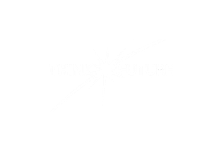 Think Future